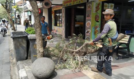 Pemangkasan pohon merupakan upaya mencegah dampak buruk cuaca ekstrem.