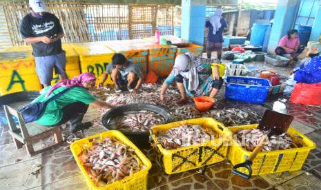 Pedagang memilah ikan di Tempat Pelelangan Ikan (TPI).  Kementerian Kelautan dan Perikanan (KKP) melakukan terobosan dengan mempermudah ekspor produk perikanan dari Manado ke Singapura.