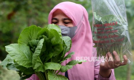 Warga memilih sayur hasil panen yang ditanam menggunakan pupuk organik di Desa Neuheun, Aceh Besar, Aceh. Wakil Ketua Komisi IV DPR RI, Dedi Mulyadi mendukung upaya pemerintah dalam mengembalikan kesuburan lahan melalui penggunaan pupuk organik. Hal ini disampaikan Dedi dalam rapat dengar pendapat bersama Ketua HMPO, KTNA dan HKTI. Menurut Dedi, penggunaan pupuk organik merupakan sebuah keharusan untuk kepentingan pertanian Indonesia yang jauh lebih baik dan jauh lebih sehat.