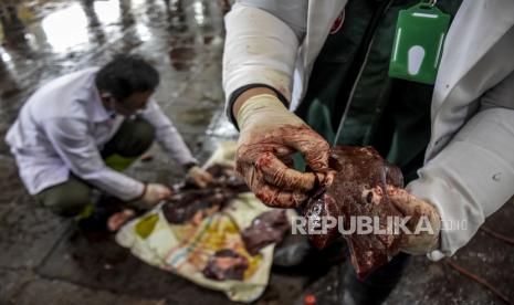 Petugas kesehatan menunjukkan cacing pada hati sapi kurban di Rumah Potong Hewan (RPH) Ciroyom, Jalan Arjuna, Kota Bandung (Ilustrasi)