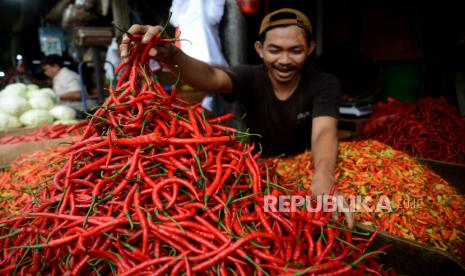 Pedagang menata cabai dagangannya di Pasar Senen, Jakarta, Senin (27/2/2023). Menteri Perdagangan Zulkifli Hasan menilai harga cabai kriting yang dibanderol Rp 25.000 per kilogram terlalu murah.