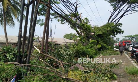 Warga bersama petugas membereskan bangunan dan pohon-pohon tumbang akibat angin puting beliung. Peneliti meminta jangan latah sebut puting beliung Rancaekek sebagai angin tornado.