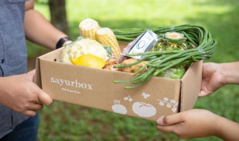 Ilustrasi paket Sayurbox. (dok. Sayurbox)