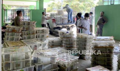 5.074 individu burung asal Sumatra gagal diselundupkan ke Jawa, dilepasliarkan ke hutan Pesawaran, Lampung, Jumat (29/9/2023). 