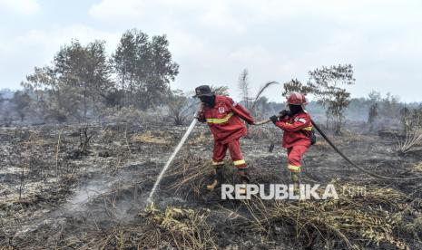 rp42-triliun-cuan-grup-sawit-yang-dipanggil-singapura-terkait-karhutla