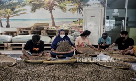 Pekerja menyortir biji kopi sebelum Pelepasan Ekspor Perdana Produk Halal Kopi Robusta ke Oman di Kopi Merah Putih, Jakarta, Jumat (21/1/2022). Komite Ekspor Halal Pengrus Pusat MES bekerja sama dengan PT. Geber Ekspor Indonesia dan didukung Bank Indonesia meluncurkan Ekspor Perdana Produk Halal Kopi dengan tujuan negara Oman sebanyak 36 ton kopi robusta senilai 1,6 miliar yang akan berjalan selama satu tahun dengan nilai kontrak sebesar 1,7 juta USD. Republika/Thoudy Badai