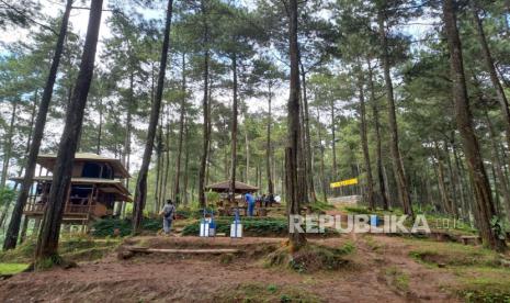 Wisata alam Gunung Papandayan (Foto: ilustrasi)