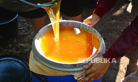 Petani menyaring madu yang dihasilkan lebah madu (Apis mellifera) saat panen. Madu murni aman dan halal untuk dikonsumsi oleh umat Muslim, tanpa harus melalui serangkaian proses sertifikasi halal.