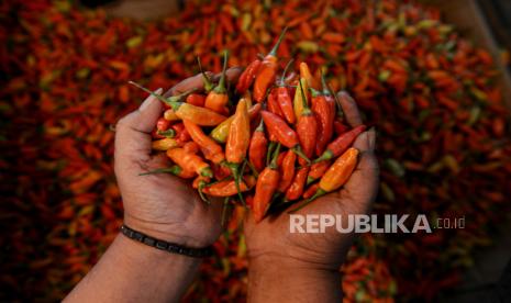 Pedagang beraktivitas di Pasar Induk Kramat Jati, Jakarta Timur, Sabtu (16/12/2023). Harga cabai rawit pada Sabtu mencapai Rp 49.800 per kg.