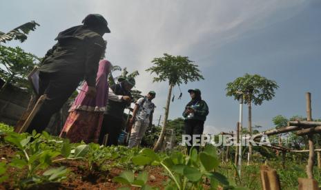 Petugas Badan Pusat Statistik (BPS) Kota Bengkulu melakukan pendataan lapangan pada pelaksanaan sensus pertanian subsektor sayuran holtikultura di Kota Bengkulu, Provinsi Bengkulu, Senin (12/6/2023). Sensus Pertanian  2023 yang digelar 1 Juni hingga 31 Juli mendatang tersebut melibatkan 140 petugas lapangan dari BPS Kota Bengkulu yang bertujuan untuk menyediakan data sebagai tolak ukur statistik pertanian, serta menyusun perencanaan atau kebijakan pemerintah dalam menciptakan kedaulatan pangan dan kesejahteraan petani. 