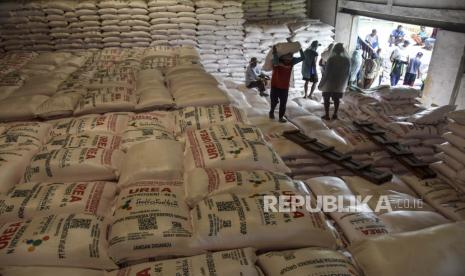 Buruh angkut memindahkan pupuk urea saat bongkar muat di Gudang pupuk Kujang Lini III, Awipari, Kabupaten Tasikmalaya, Jawa Barat, Rabu (7/11/2022). 