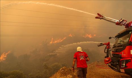 Sebanyak 187 kebakaran hutan terjadi di Turki sejak pekan lalu.