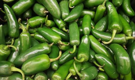  Manfaat Jalapeno bagi Kesehatan Tubuh