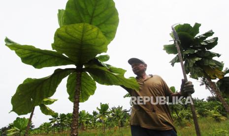 7 Sedekah Jariyah yang Mudah Dilakukan, Apa Saja?