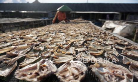 Pekerja menjemur ikan asin di Wonokerto, Kabupaten Pekalongan, Jawa Tengah, Rabu (3/11/2021). Menurut pekerja itu, produksi ikan asin mengalami peningkatan dengan harga jual sekitar Rp35.000 per kilogram dan dijual ke Bandung dan Jakarta. 