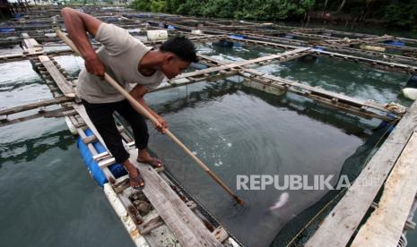 DKP Jabar Bina 60 Petani Milenial Budidaya Ikan dan Udang (ilustrasi).