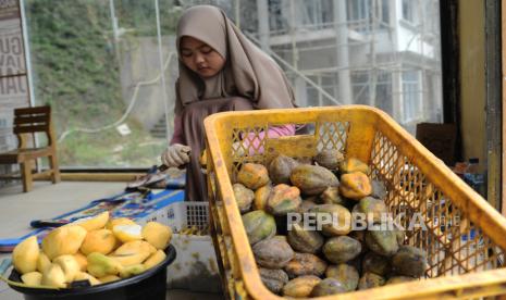 Pekerja mengupas buah Carica (Family Caricaceae) di sebuah industri pengolahan buah Carica di kawasan dataran tinggi Dieng Desa Patak Banteng, Kejajar, Wonosobo, Jateng, Kamis (9/12/2021). Buah Carica atau pepaya Dieng dibudidayakan warga setempat untuk diolah menjadi manisan atau sirop sebagai oleh-oleh khas Dieng yang dijual Rp10 ribu per bungkus. 