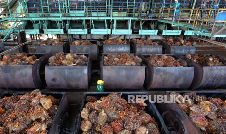 Karyawan mengawasi proses pemasukan Tanda Buah Segar (TBS) kelapa sawit ke mesin pengolahan di Aceh Barat, Aceh, Jumat (21/7/2023). 