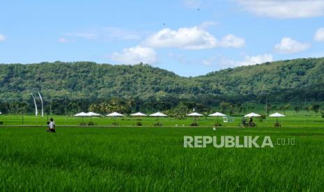  Pemerintah Kabupaten Kulon Progo, Daerah Istimewa Yogyakarta, menargetkan cetak sawah baru seluas 50 hektare pada 2022 untuk mengganti alih fungsi lahan sawah akibat pembangunan megaproyek di wilayah ini lebih dari 500 hektare.  Pesepeda berkeliling di kawasan Nanggulan, Kulon Progo, Yogyakarta,. (ilustrasi)