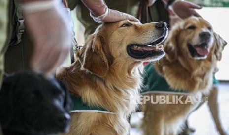  Petugas polisi mengelus anjing pelacak COVID-19 mereka setelah demonstrasi kepada pers di Bandara Internasional Arturo Merino Benítez di Santiago, Chili, Senin, 21 Desember 2020.