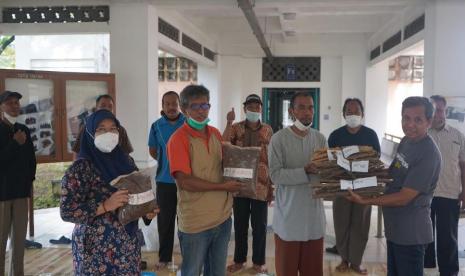 Gandeng Petani, Pertanian UMY Optimalkan Budidaya Singkong - Suara Muhammadiyah