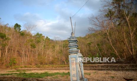 Pepohonan yang sudah meranggas imbas kemarau di Pedukuhan Klegung, Patuk, Gunungkidul, Yogyakarta, Selasa (3/10/2023). Kemarau panjang pada tahun ini terasa bagi warga Klegung, sumur sumber air bersih turun drastis debitnya dan tidak bisa lagi dipompa keluar. Warga harus menunggu hingga airnya naik dan ditimba secara manual. Sumur bor yang ada di sini belum bisa dipergunakan karena masih dalam proses perbaikan. Kemarau di Gunungkidul membuat krisis air bersih yang berdampak pada 118 ribu jiwa di 16 kecamatan. BPBD Gunungkidul juga memperpanjang status siaga darurat kekeringan hingga 30 November 2023.