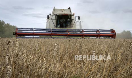 Seorang petani memanen gandum di desa Zghurivka, Ukraina, Selasa, 9 Agustus 2022. Moscow telah menangguhkan implementasi Black Sea Grain Initiative, kesepakatan yang memungkinkan Ukraina mengekspor komoditas biji-bijannya, termasuk gandum, dari pelabuhan-pelabuhan mereka di Laut Hitam yang kini berada di bawah kontrol pasukan Rusia. 