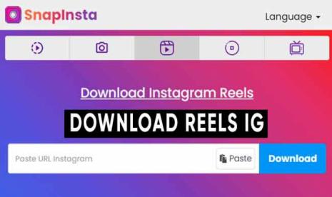 SnapInsta: Download Video Instagram Reels, Story, IGTV, Feed