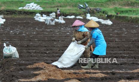 Petani menyiapkan lahan dengan menaburkan pupuk, (ilustrasi),  Ketua Dewan Perwakilan Rakyat (DPR) RI Puan Maharani menyebutkan, pendistribusian pupuk menjadi masalah bagi para petani secara nasional.