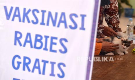 Veteriner Dinas Pertanian dan Pangan Kota Yogyakarta menyuntik vaksin rabies pada kucing saat Bulan Vaksinasi Rabies Gratis di Kelurahan Parangpuluhan, Yogyakarta, Selasa (6/9/2022). (Ilustrasi)