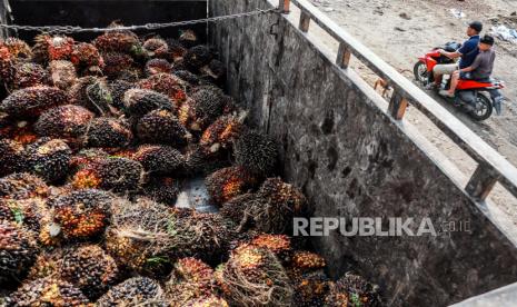 Orang-orang mengendarai sepeda motor melewati truk yang memuat sawit yang baru dipanen di perkebunan sawit di Deli Serdang, Sumatra Utara, Indonesia, 23 Mei 2022. 