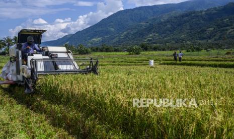 Buruh tani menggunakan mesin panen saat memanen padi di Desa Kaleke, Kabupaten Sigi, Sulawesi Tengah, medio Mei 2020 (ilustrasi). Pemerintah berencana menciptakan food estate atau daerah yang ditetapkan sebagai lumbung pangan baru di Indonesia.