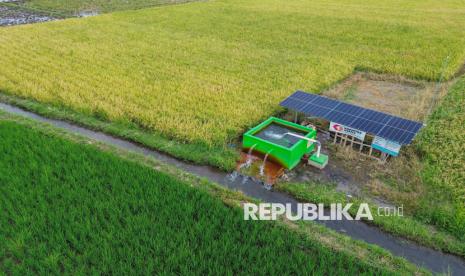 Foto udara pompa air tenaga surya mengairi irigasi lahan pertanian padi di Desa Labruk Kidul, Lumajang, Jawa Timur, Kamis (5/12/2024). Pompa air tenaga surya yang per unit dapat mengairi 10 hektar lahan pertanian tersebut merupakan bantuan dari Kementerian Pertanian dengan total 94 unit di sembilan kecamatan sebagai upaya peningkatan produktivitas pertanian di wilayah itu. 