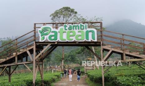 Wisatawan mengunjungu kawasan wisata alam Patean, kompleks agrowisata kebun teh Tambi, Kejajar, Wonosobo, Jateng, Kamis (9/12/2021). Wisata alam yang berada di jalur wisata menuju dataran tinggi Dieng tersebut dikelola oleh PT Tambi bekerjasama dengan karang taruna Desa Tambi untuk meningkatkan perekonomian warga sekitar. 