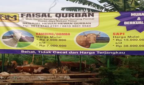 Idul Adha dan Qurban: Syarat-Syarat Hewan untuk Qurban