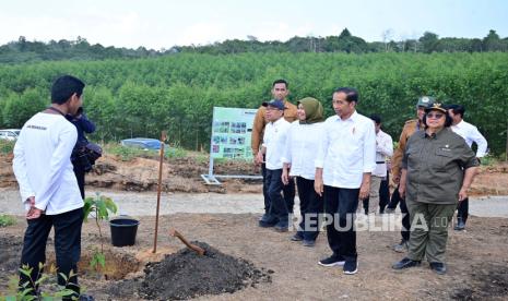 Presiden Jokowi saat melakukan penanaman pohon bersama dengan masyarakat dan siswa sekolah di lokasi Rehabilitasi Hutan dan Lahan Kawasan Inti Pusat Pemerintahan (KIPP), di Kawasan Ibu Kota Nusantara (IKN), Kalimantan Timur, Rabu (20/12/2023).