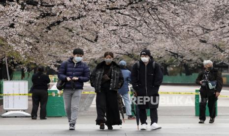 Pengunjung berjalan melalui bunga sakura di Taman Ueno. Kementerian Kesehatan Jepang proyeksikan kematian akibat Covid-19 capai 400 ribu. Ilustrasi.