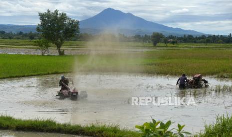 Petani membajak sawah menggunakan traktor tangan di Desa Samahani, Kecamatan Kuta Malaka, Kabupaten Aceh Besar, Aceh, Sabtu (2/5/2020). Pemerintah memutuskan akan menyalurkan bantuan langsung tunai (BLT) kepada sebanyak 2,44 juta petani tergolong miskin sebesar Rp600 ribu dan berupa sarana  pertanian agar mereka bisa bertahan hidup di tengah wabah COVID-19