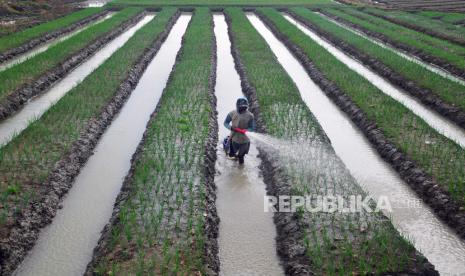 Petani menyirami tanaman bawang merah di Desa Penganten, Klambu, Grobogan, Jawa Tengah, Jumat (6/10/2023). Meskipun musim kemarau panjang yang dipengaruhi fenomena El Nino yang menyebabkan bencana kekeringan di beberapa wilayah, petani setempat masih bisa menanam bawang merah serta tanaman lainnya sepanjang tahun dengan memanfaatkan irigasi dari bendungan Kedungombo. ANTARA FOTO/Yusuf Nugroho/tom.