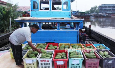 Pekerja menyusun buah sirsak atau durian belanda (Annona muricata) untuk ekspor. Buah sirsak memiliki potensi manfaat untuk pengobatan kanker. Namun, mengingat belum adanya bukti ilmiah yang kuat untuk menjamin efikasi dan keamanannya, peneliti menganjurkan agar masyarakat tak bergantung pada sirsak untuk mengobati kanker. 