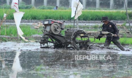 Petani membajak sawah menggunakan traktor untuk mengawali musim tanam padi setelah panen kemarin, di kawasan Soekarno Hatta, Kota Bandung, Senin (15/3). Banyak petani berharap pemerintah mengkaji ulang atau mempertimbangkan rencana impor beras di awal tahun ini, dikhawatirkan akan membuat harga gabah ditingkat petani anjlok.