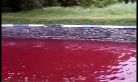 Air Sungai di Jombang Berwarna Merah Darah