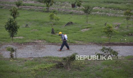 Seorang petugas menyemprotkan desinfektan di jalan menuju pemakaman yang baru dibuka dan diperintukkan untuk korban Covid-19 (ilustrasi)