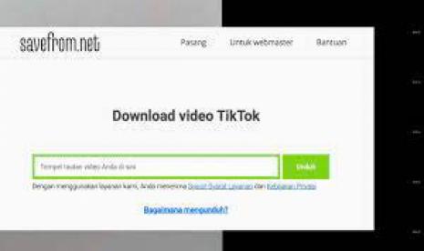 Tiktok: SaveFrom Tiktok menjadi downloader penting