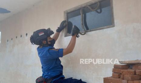 Petugas pemadam kebakaran mengevakuasi seekor ular Lanang Sapi yang terjepit jendela kaca rumah warga di Dusun Kliwon, Desa Citiusari, Kecamatan Garawangi, Kabupaten Kuningan, Rabu (11/10/2023). 