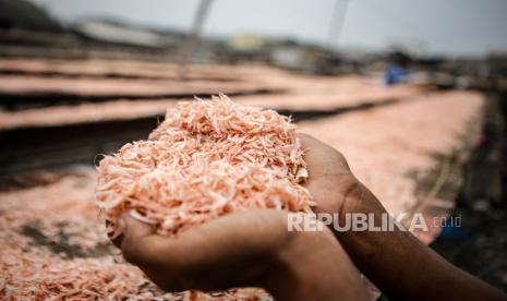 Pekerja menunjukan udang rebon di Cilincing, Jakarta, Kamis (23/11/2023). Kementerian Kelautan dan Perikanan (KKP) melaporkan ekspor produk perikanan hingga September 2023 mencapai 4,1 miliar dolar Amerika Serikat (AS) atau setara Rp64,1 triliun,.  