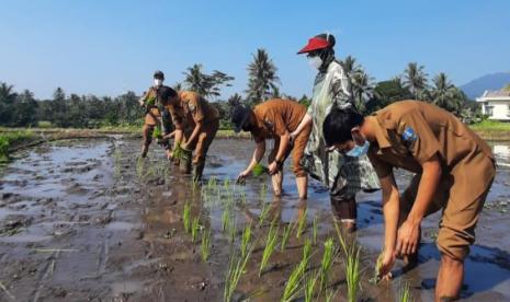 Ketahanan Pangan Banten