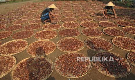 Kemendikbud Luncurkan Laman Jalur Rempah Nusantara (ilustrasi).