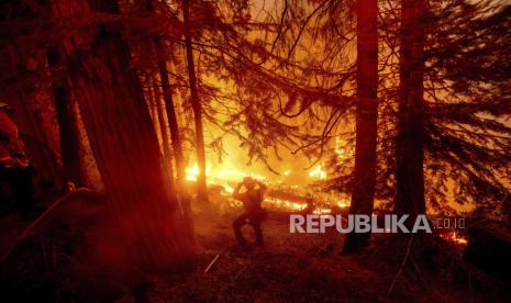  Seorang petugas pemadam kebakaran memerangi Creek Fire di komunitas Shaver Lake di Fresno County, California, pada hari Senin, 7 September 2020.