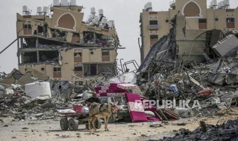 A donkey cart next to the rubble of the Hamad towers after they were destroyed in an Israeli military operation in Khan Younis town, southern Gaza Strip, 14 March 2024. More than 31,000 Palestinians and over 1,300 Israelis have been killed, according to the Palestinian Health Ministry and the Israel Defense Forces (IDF), since Hamas militants launched an attack against Israel from the Gaza Strip on 07 October 2023, and the Israeli operations in Gaza and the West Bank which followed it.  